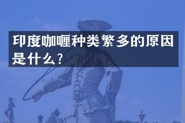 印度咖喱种类繁多的原因是什么？