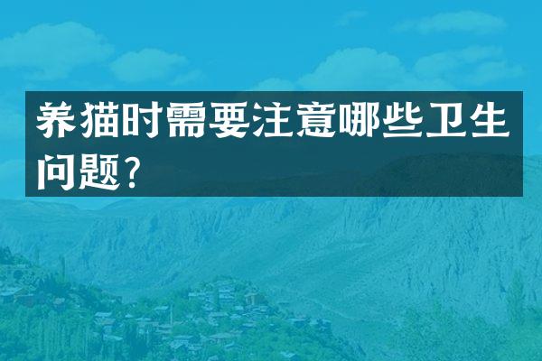 养猫时需要注意哪些卫生问题？