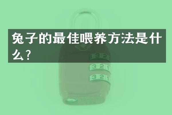 兔子的最佳喂养方法是什么？