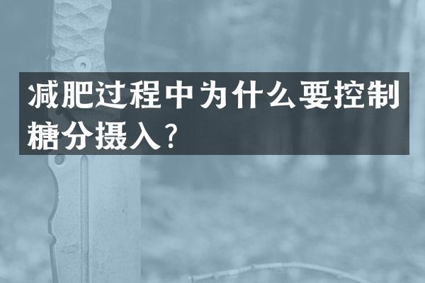 减肥过程中为什么要控制糖分摄入？