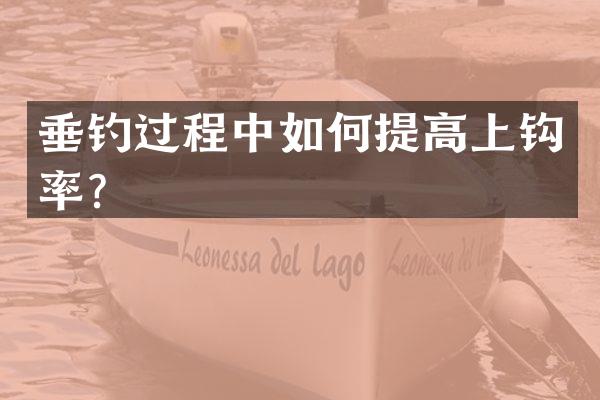 垂钓过程中如何提高上钩率？