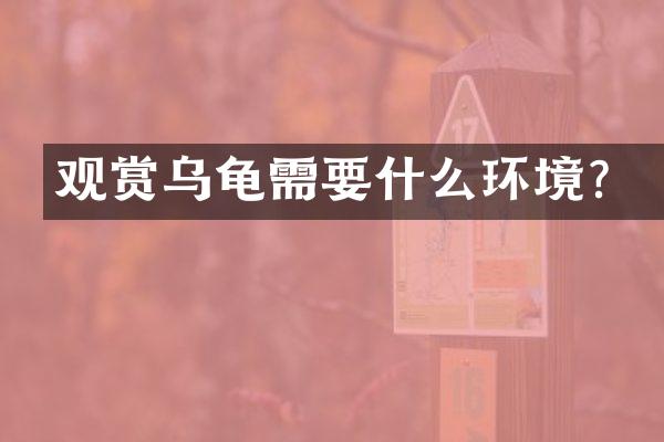 观赏乌龟需要什么环境？