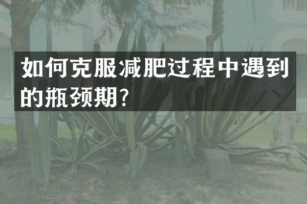 如何克服减肥过程中遇到的瓶颈期？