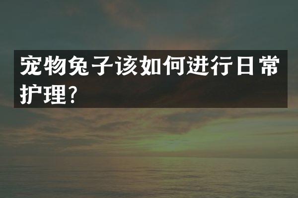 宠物兔子该如何进行日常护理？