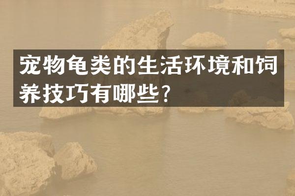宠物龟类的生活环境和饲养技巧有哪些？
