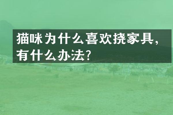 猫咪为什么喜欢挠家具，有什么办法？