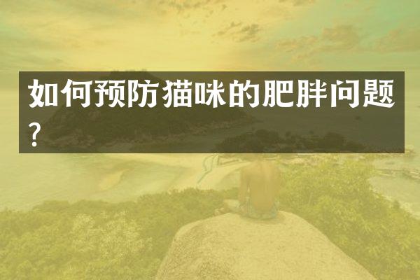 如何预防猫咪的肥胖问题？