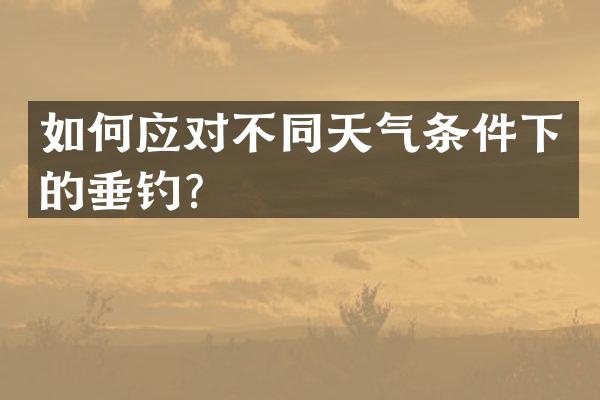 如何应对不同天气条件下的垂钓？