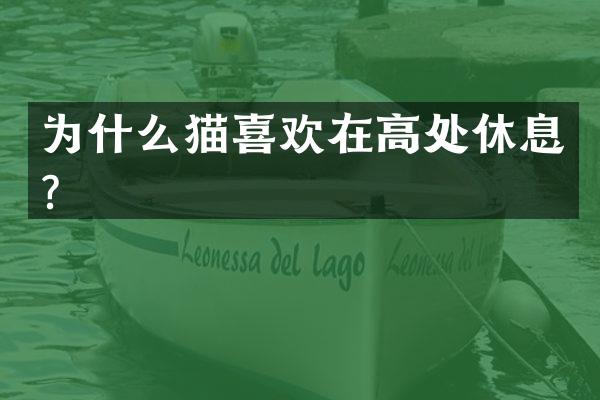 为什么猫喜欢在高处休息？