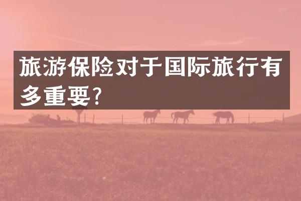旅游保险对于国际旅行有多重要？