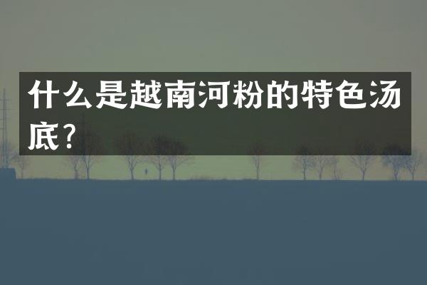 什么是越南河粉的特色汤底？