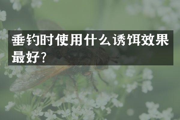 垂钓时使用什么诱饵效果最好？