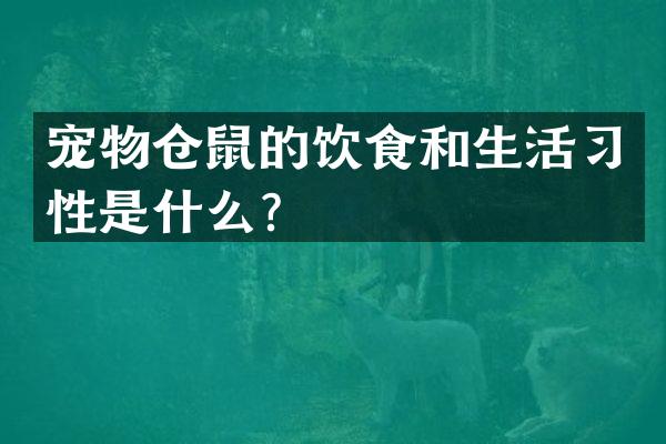 宠物仓鼠的饮食和生活习性是什么？