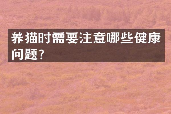 养猫时需要注意哪些健康问题？