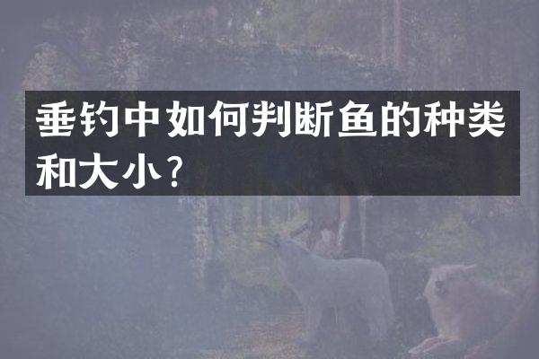 垂钓中如何判断鱼的种类和大小？