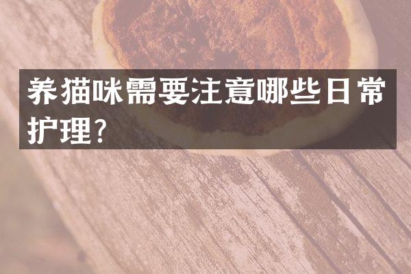 养猫咪需要注意哪些日常护理？