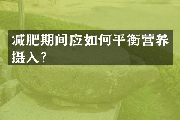 减肥期间应如何平衡营养摄入？
