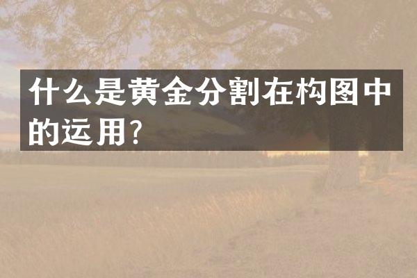 什么是黄金分割在构图中的运用？