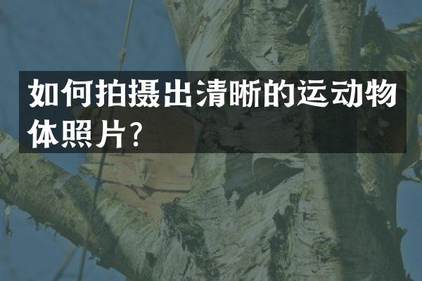 如何拍摄出清晰的运动物体照片？