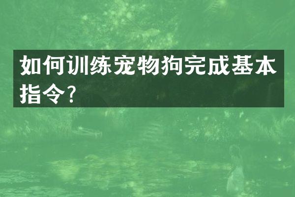 如何训练宠物狗完成基本指令？