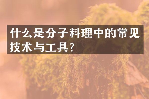 什么是分子料理中的常见技术与工具？