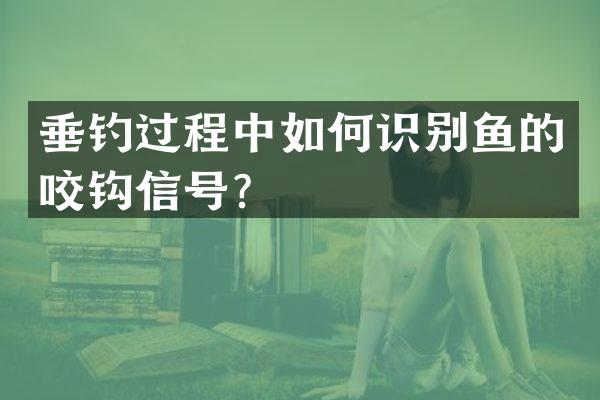 垂钓过程中如何识别鱼的咬钩信号？