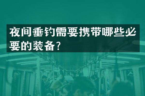 夜间垂钓需要携带哪些必要的装备？