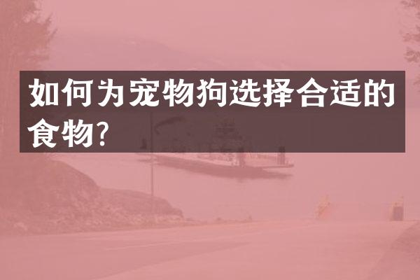 如何为宠物狗选择合适的食物？