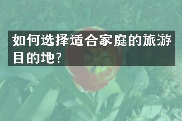 如何选择适合家庭的旅游目的地？