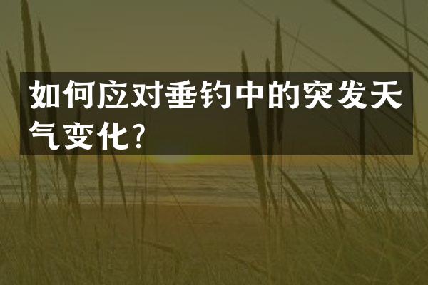 如何应对垂钓中的突发天气变化？