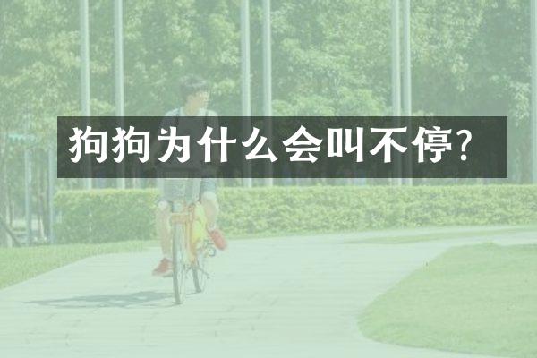 狗狗为什么会叫不停？