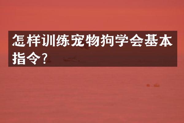 怎样训练宠物狗学会基本指令？