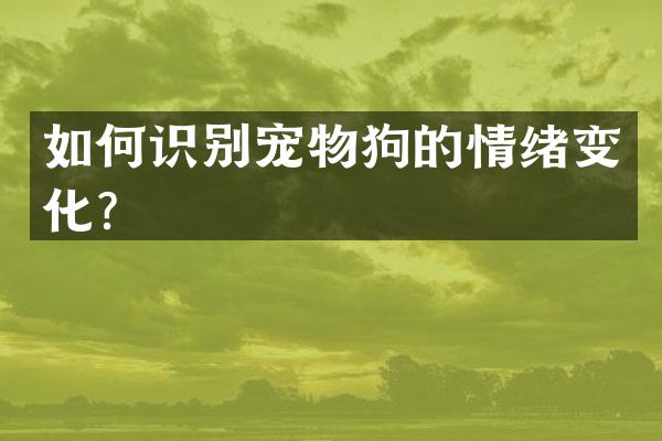 如何识别宠物狗的情绪变化？