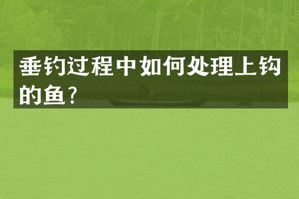 垂钓过程中如何处理上钩的鱼？
