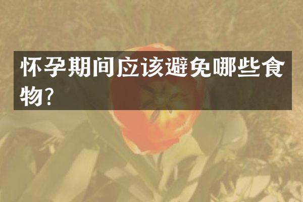 怀孕期间应该避免哪些食物？