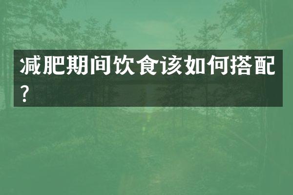 减肥期间饮食该如何搭配？