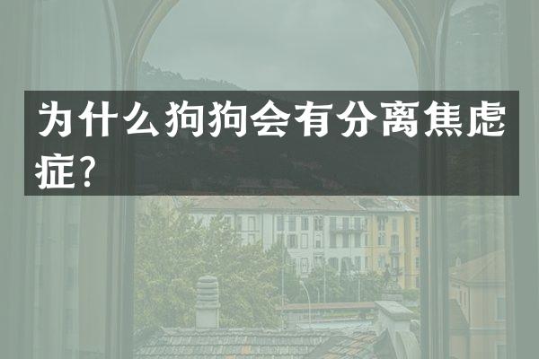 为什么狗狗会有分离焦虑症？
