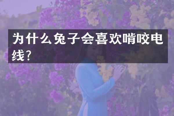 为什么兔子会喜欢啃咬电线？