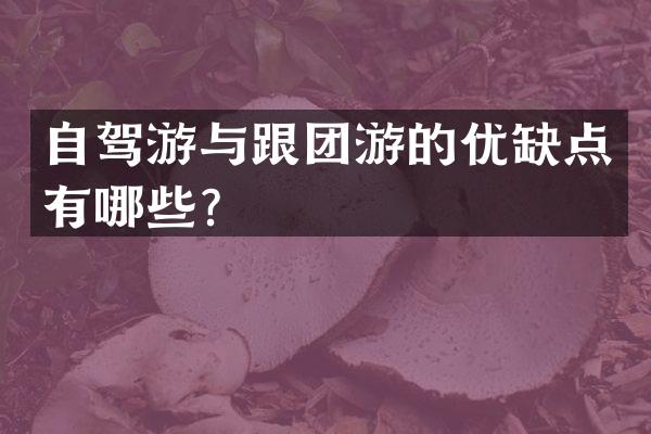 自驾游与跟团游的优缺点有哪些？