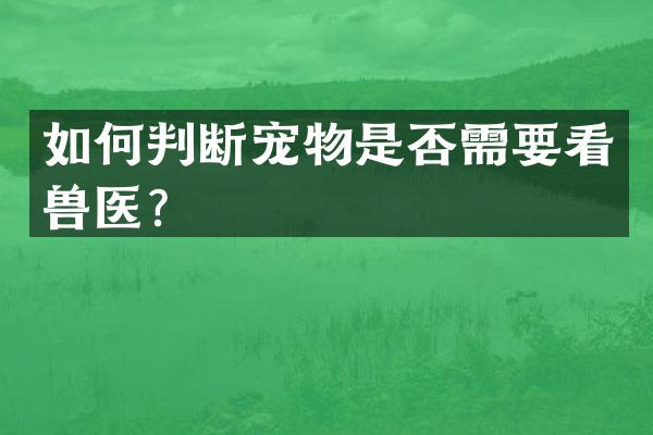 如何判断宠物是否需要看兽医？