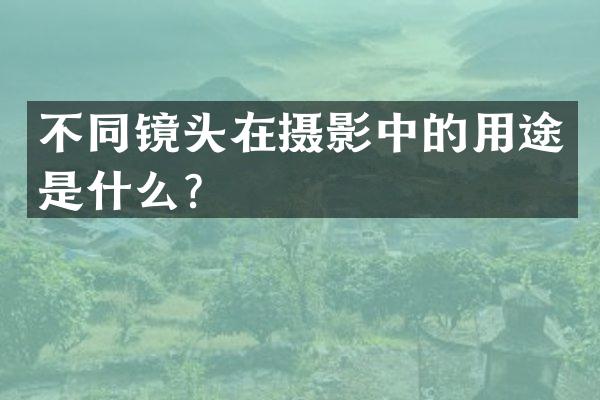 不同镜头在摄影中的用途是什么？