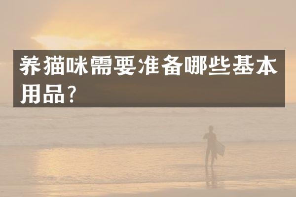 养猫咪需要准备哪些基本用品？