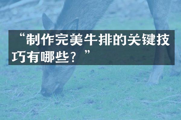 &ldquo;制作完美牛排的关键技巧有哪些？&rdquo;