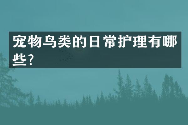 宠物鸟类的日常护理有哪些？