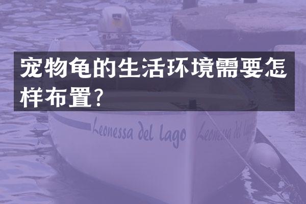 宠物龟的生活环境需要怎样布置？