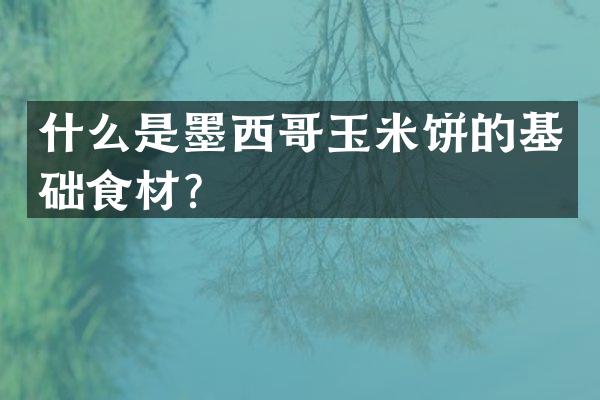 什么是墨西哥玉米饼的基础食材？