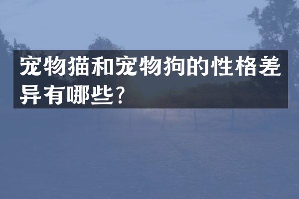宠物猫和宠物狗的性格差异有哪些？
