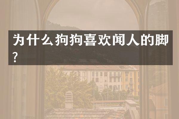 为什么狗狗喜欢闻人的脚？