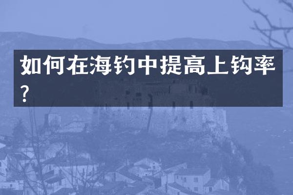 如何在海钓中提高上钩率？