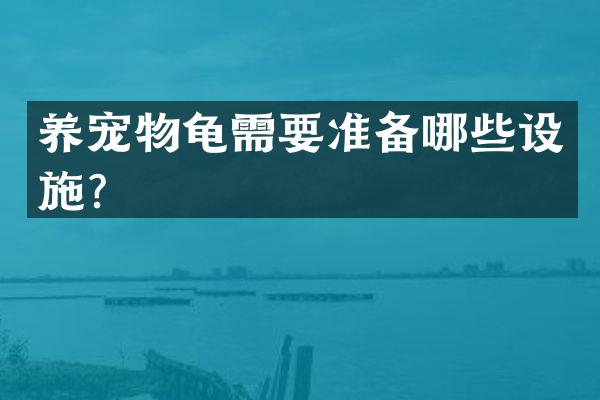 养宠物龟需要准备哪些设施？
